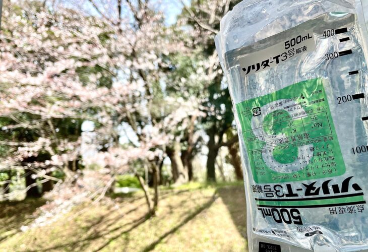 572365048 25115178811434653 1082762810310596147 n