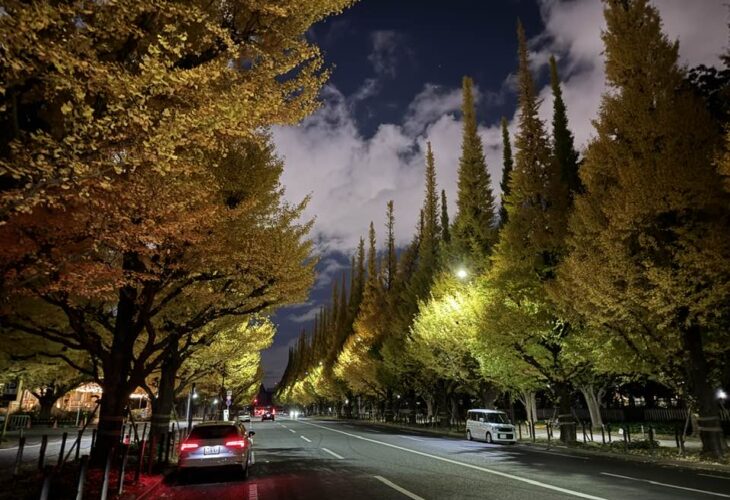 586786800 25308293308789868 5007836692045877423 n