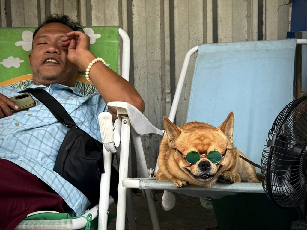 625267238 25912501418369051 6712103313471761991 n