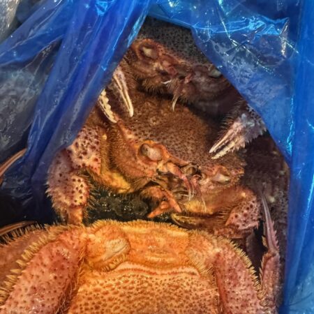 625397993 25961757146776811 7113322952329968150 n