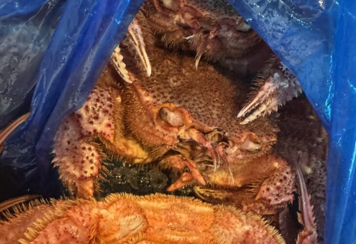 625397993 25961757146776811 7113322952329968150 n