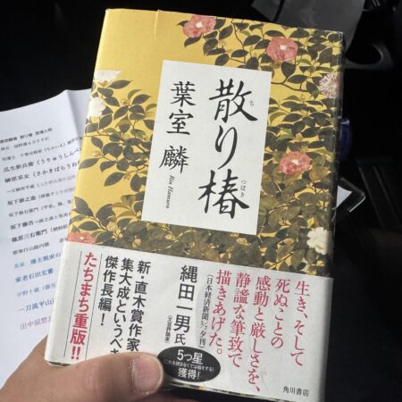 631551614 26014097758209416 3896609782286427719 n