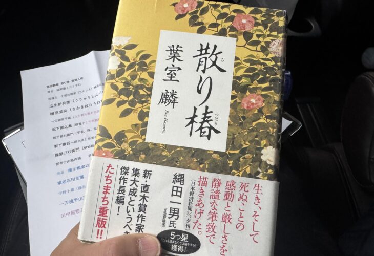 631551614 26014097758209416 3896609782286427719 n