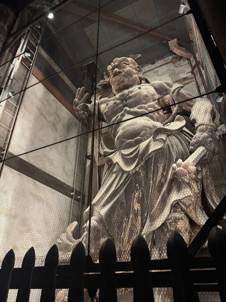 632927044 26048444388108086 5774602141398246122 n