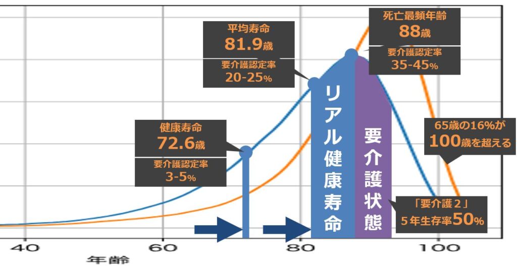 643364357 26145129325106258 4842416742830239961 n