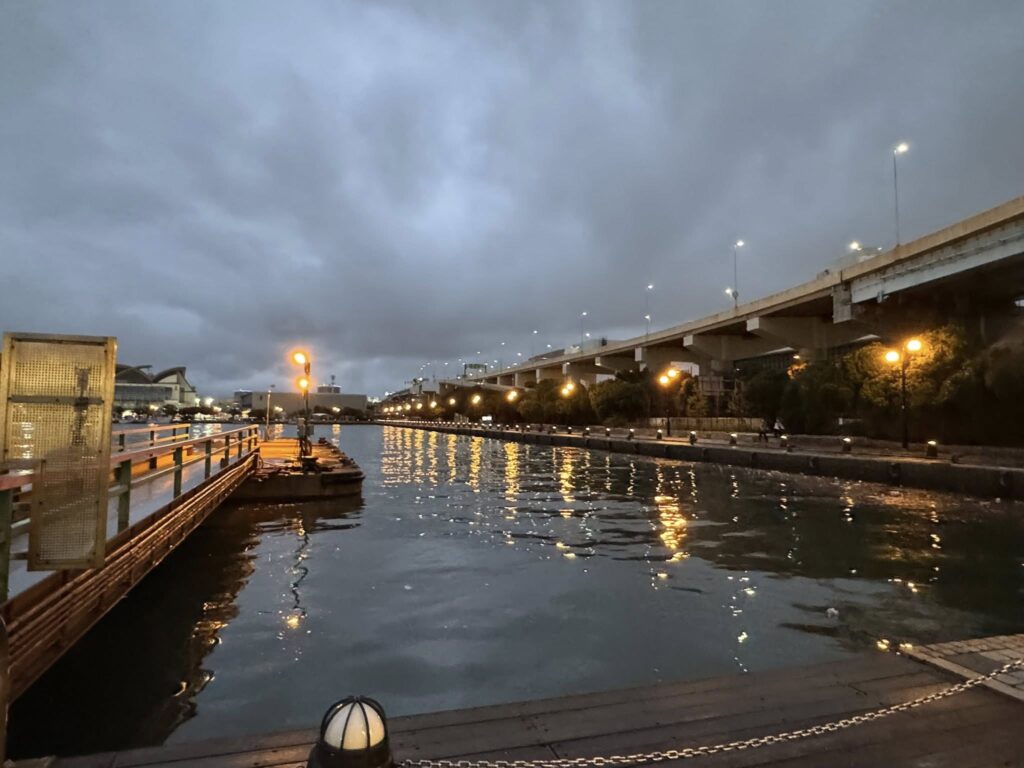 642264232 26175908622028328 5742803198353184478 n