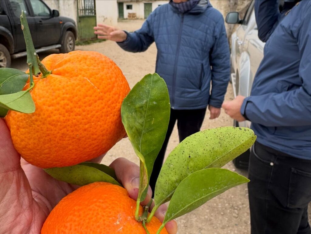 642798656 18411670471121185 3633303783969357821 n