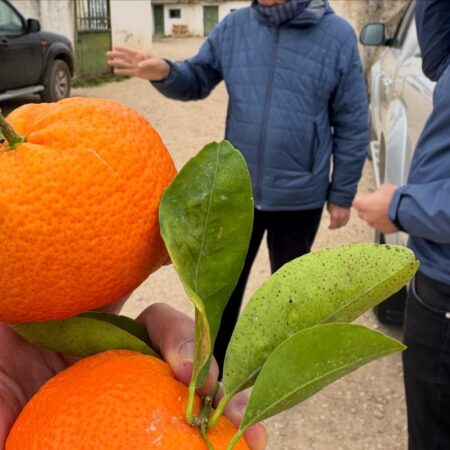 642798656 18411670471121185 3633303783969357821 n