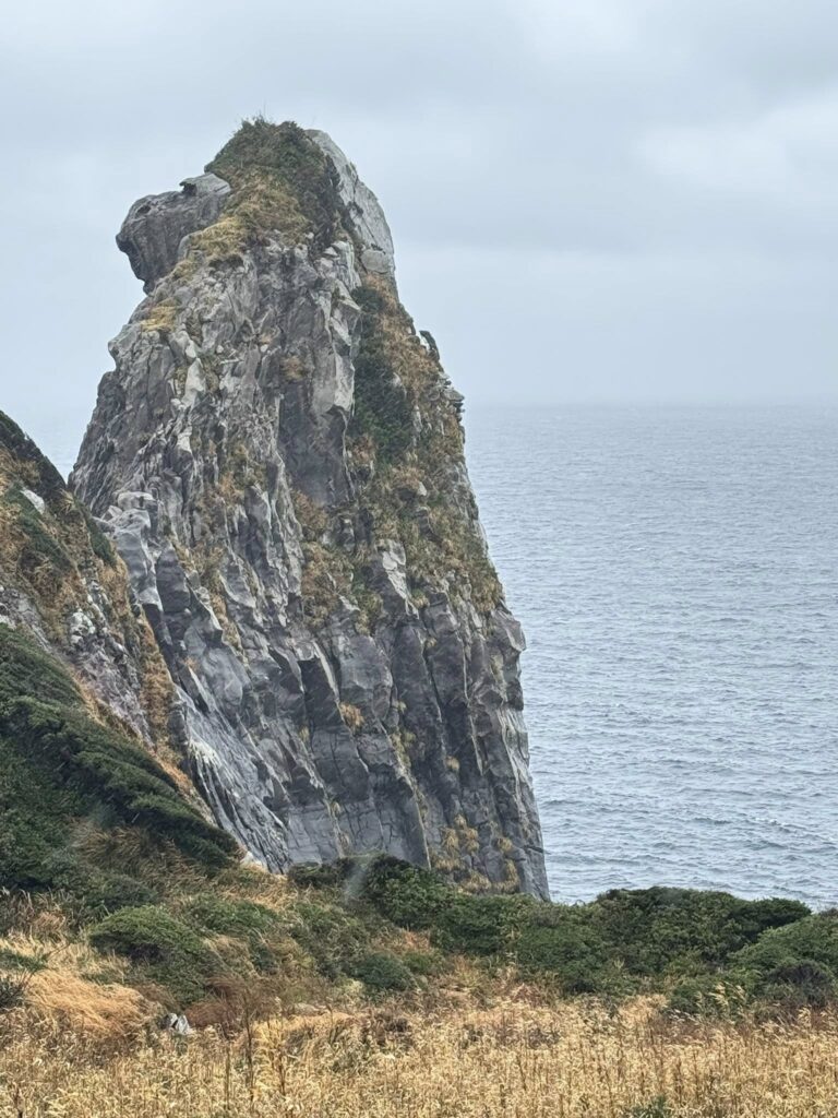 642822906 26175908052028385 4823959360503965265 n