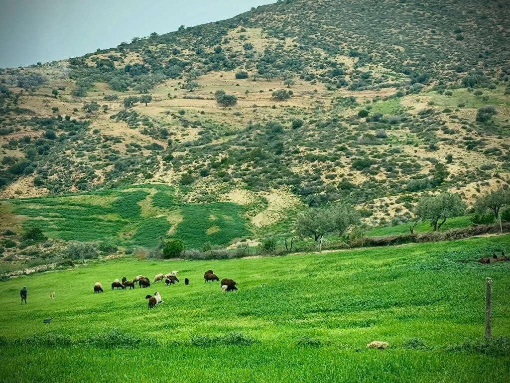 642827589 18411670447121185 813617130957699286 n