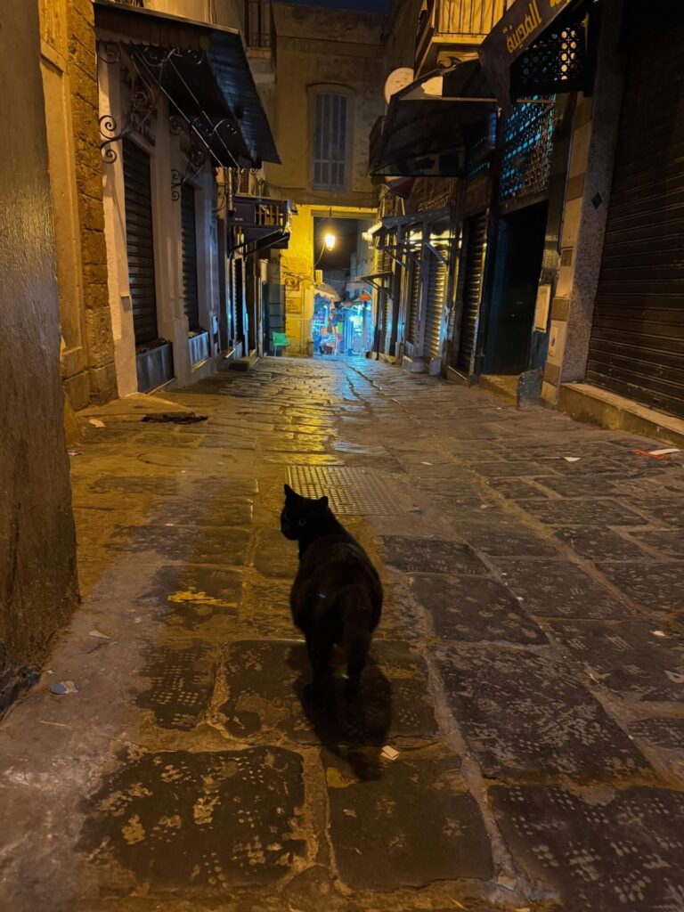 642918740 18411827599121185 4560286689052604015 n