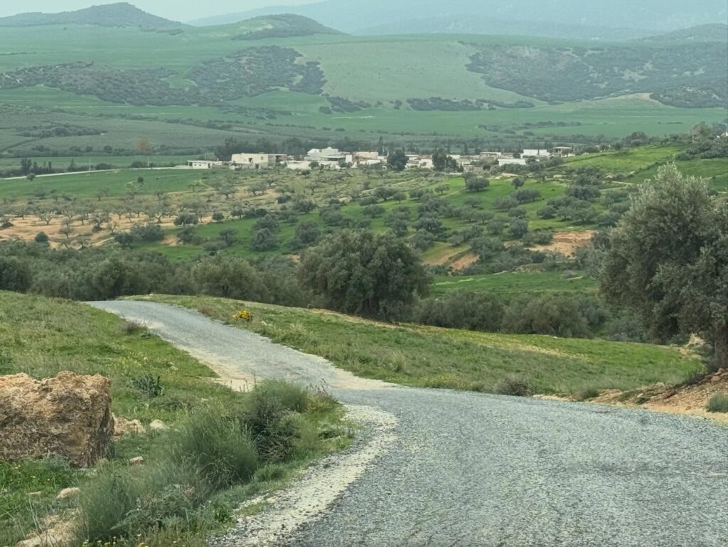 642933519 18411670480121185 4348639441797463579 n