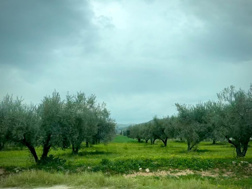 642946105 18411670432121185 7238142604601551387 n