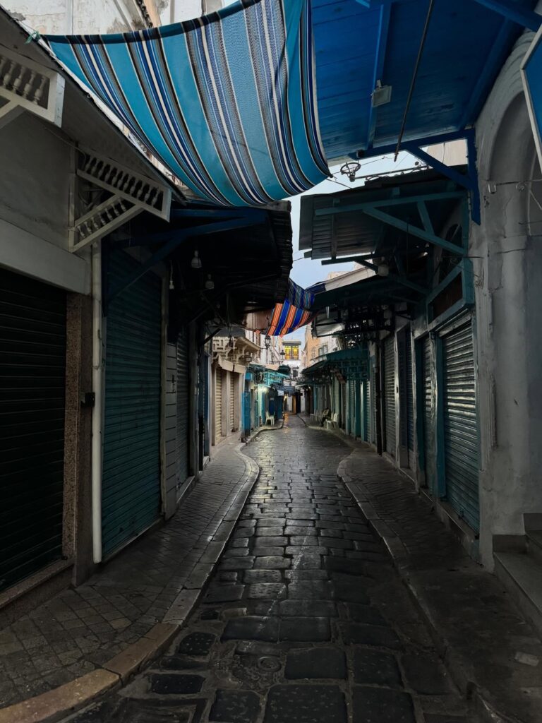 642952712 18411827719121185 1998721128990202713 n