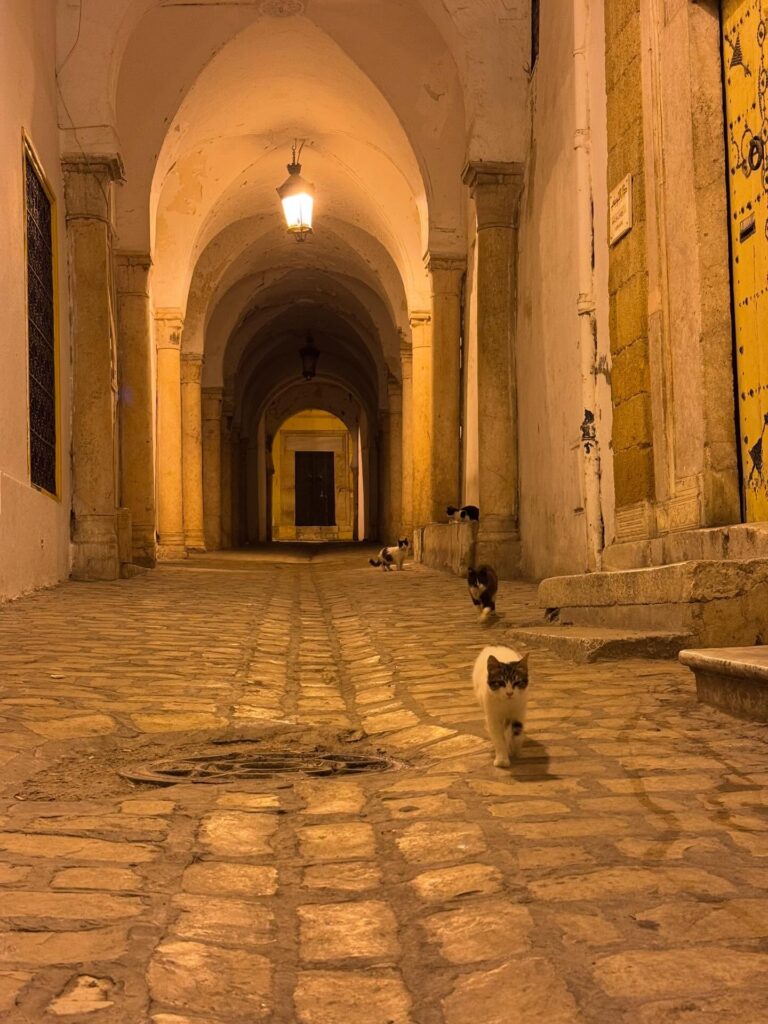 642980167 18411827590121185 834207550846773792 n