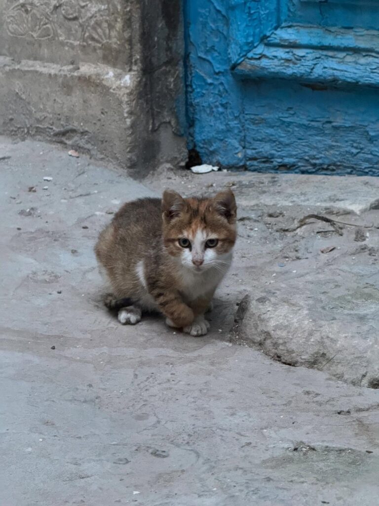 643055154 18411827728121185 66677491310067384 n