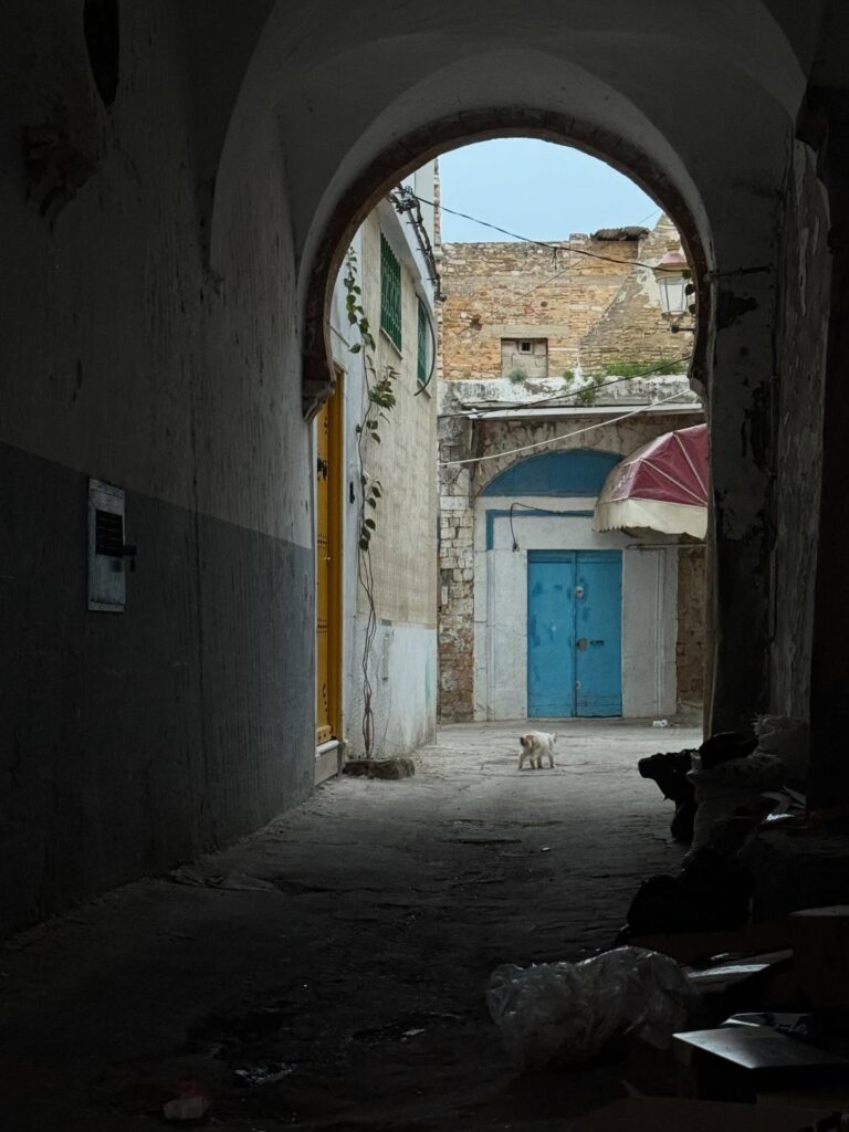 643605826 18411827740121185 1594606544754621766 n