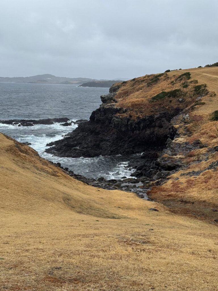 644515829 26175907218695135 5673480744750337783 n