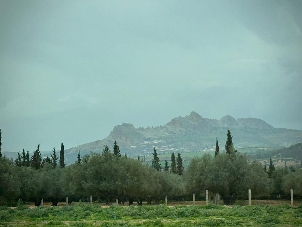 647546040 18411670486121185 6306220228615936818 n