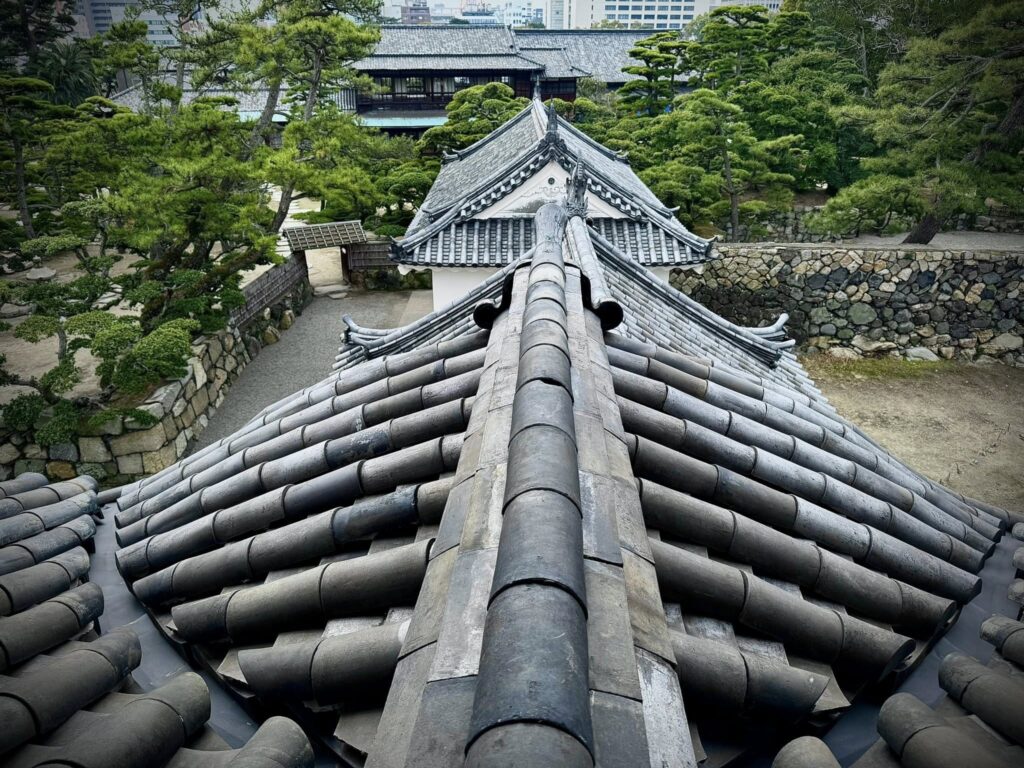 654666160 26391297400489448 3424397344390582999 n