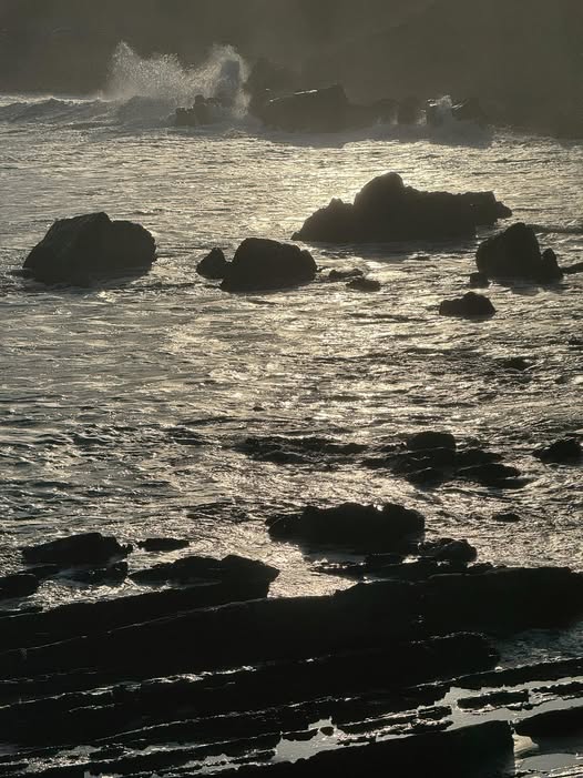 654817019 26364898753129313 3915355087497996899 n