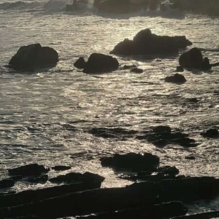 654817019 26364898753129313 3915355087497996899 n