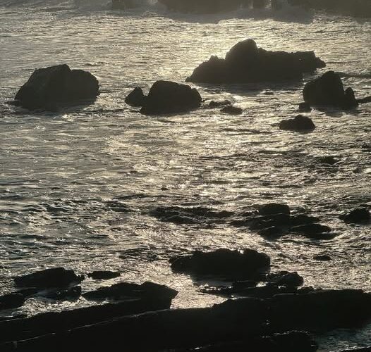 654817019 26364898753129313 3915355087497996899 n