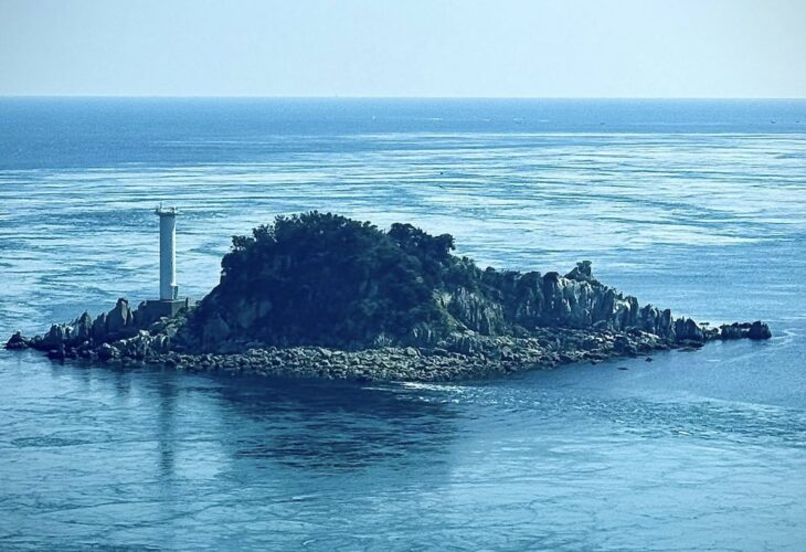 654817367 26381627514789770 5869844477175518944 n