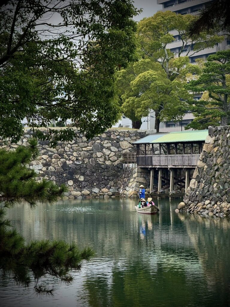 656000350 26391297147156140 790499952610147030 n