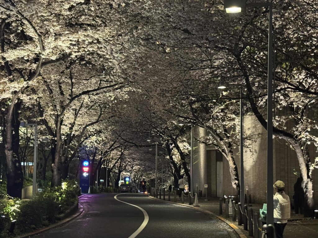 666369375 26546320914987095 8251649658998122741 n