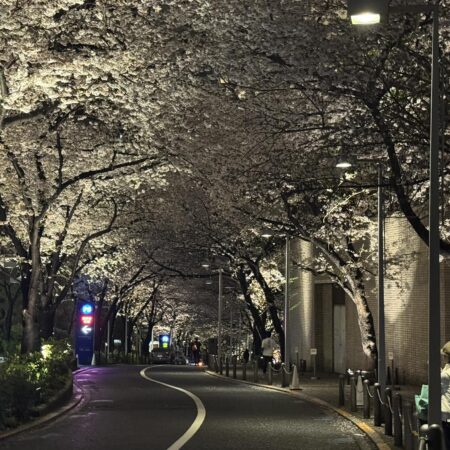 666369375 26546320914987095 8251649658998122741 n