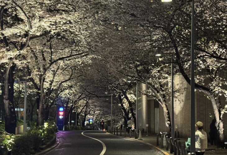 666369375 26546320914987095 8251649658998122741 n