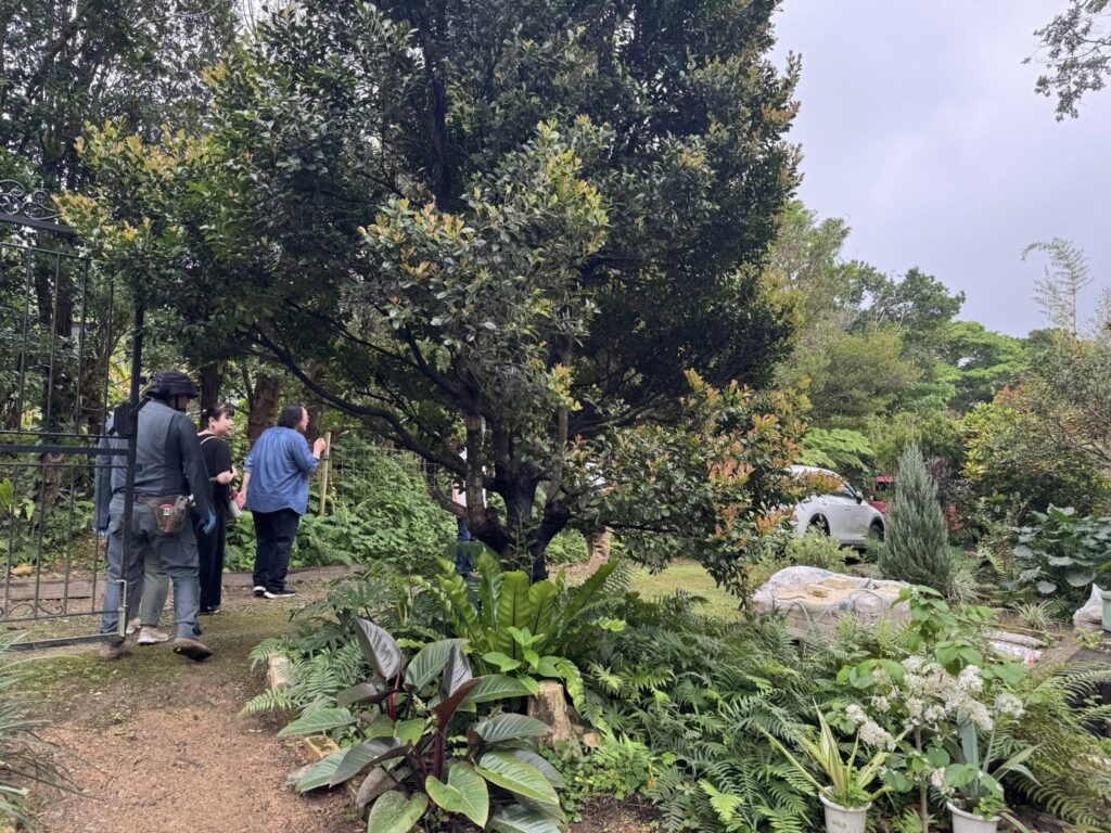 667607116 26606833202269199 8121431277684736346 n