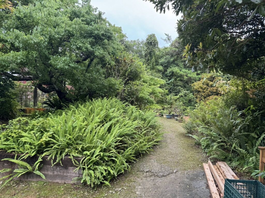 669355856 26606832908935895 1874533917897701992 n