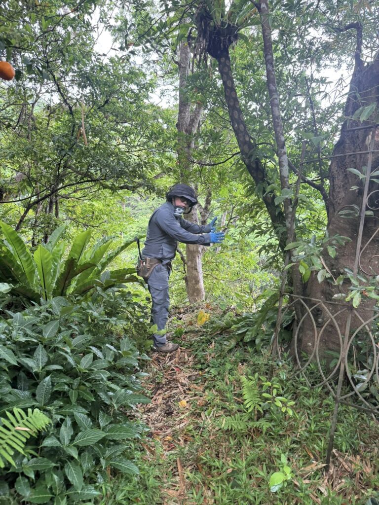 670300864 26606833518935834 8804660205197255665 n